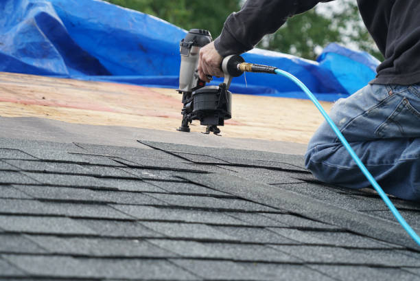 Best Roof Gutter Cleaning  in Fletcher, NC